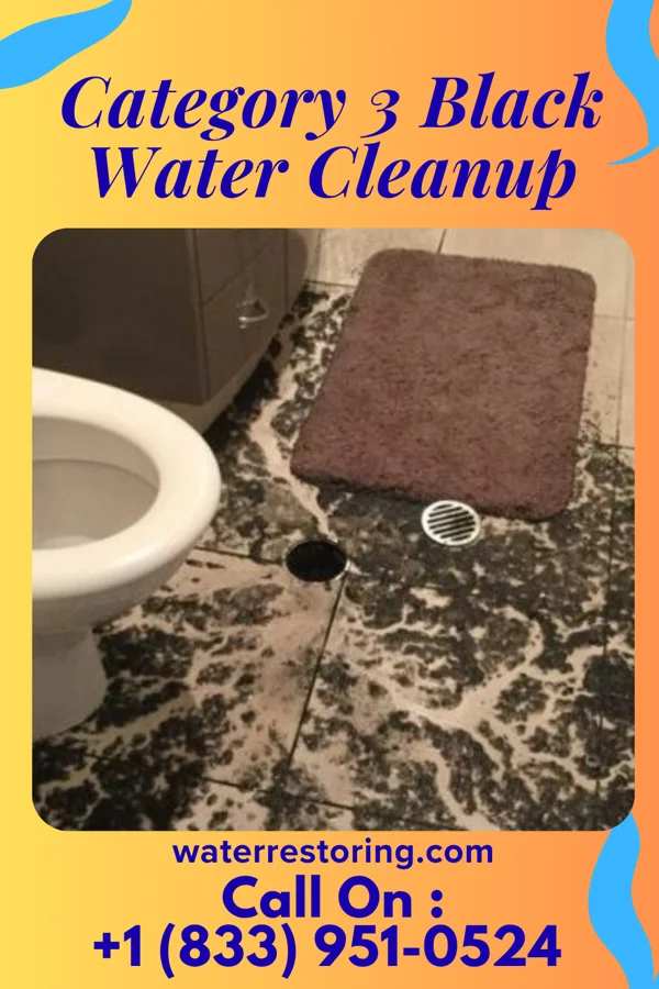 Category 3 Black Water Cleanup in Pawnee City, NE