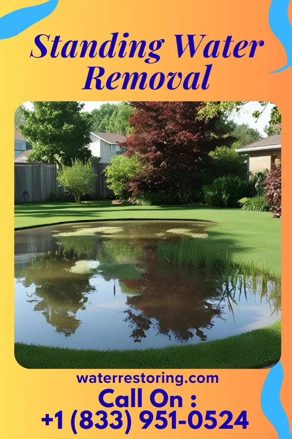 Standing Water Removal in Pawnee City, NE